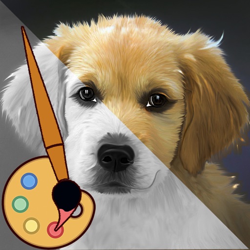 Colors & Learning Icon